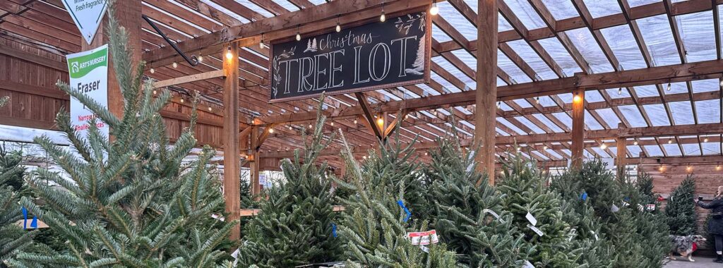 Enjoy holiday home decor Vancouver at Art's Nursery Garden & Home